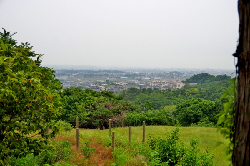 d0031171_829157.jpg