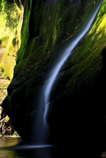 d0126577_227242.jpg