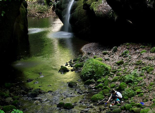 d0126577_227408.jpg