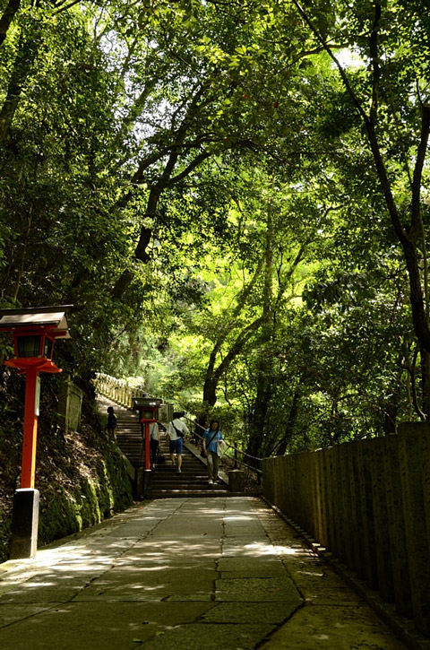 f0108478_14421339.jpg