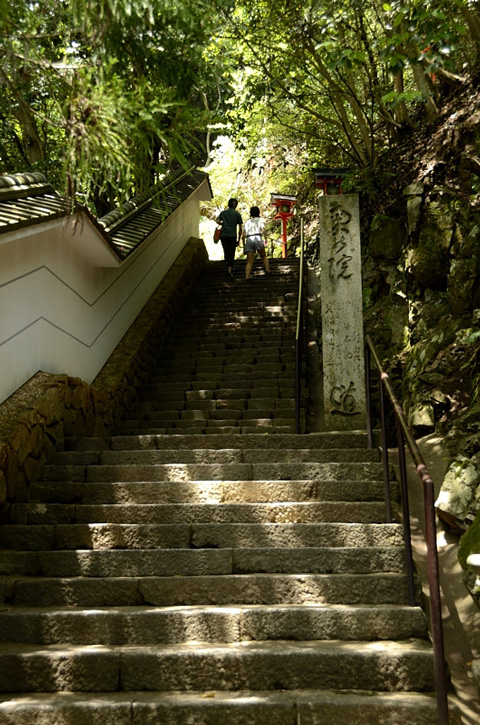 f0108478_14555336.jpg