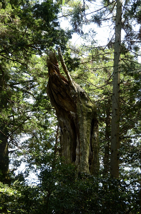 f0108478_1504974.jpg