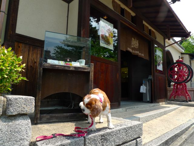 a0079292_1211961.jpg