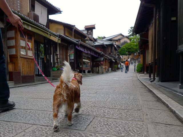 a0079292_12193964.jpg