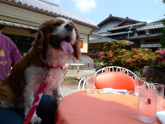 a0079292_1232690.jpg