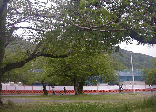 d0053294_033234.jpg