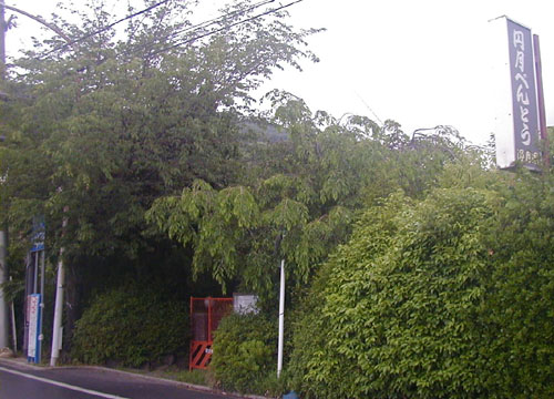 d0053294_23234342.jpg