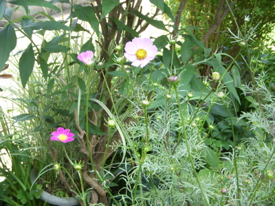 c0149195_2215595.jpg