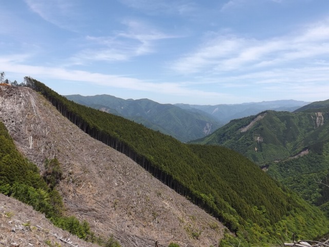 e0157602_19205965.jpg