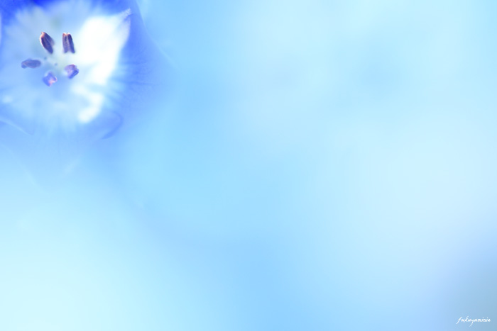 f0185802_21482980.jpg
