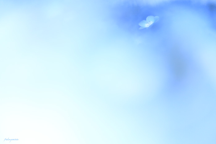 f0185802_21495029.jpg