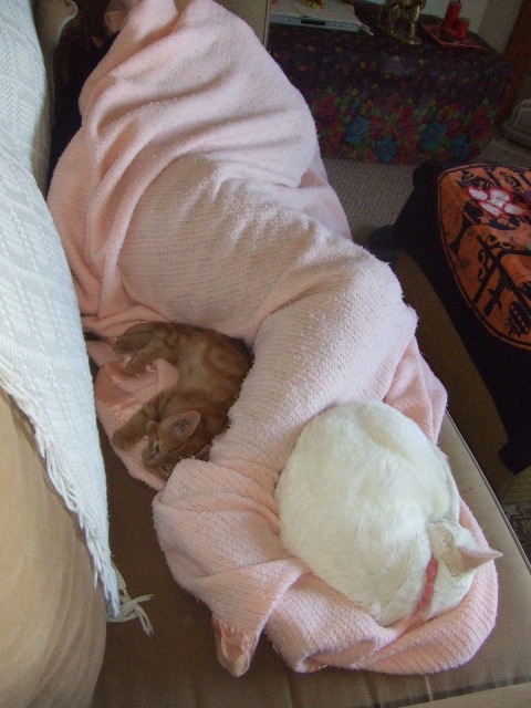 c0062603_9175150.jpg