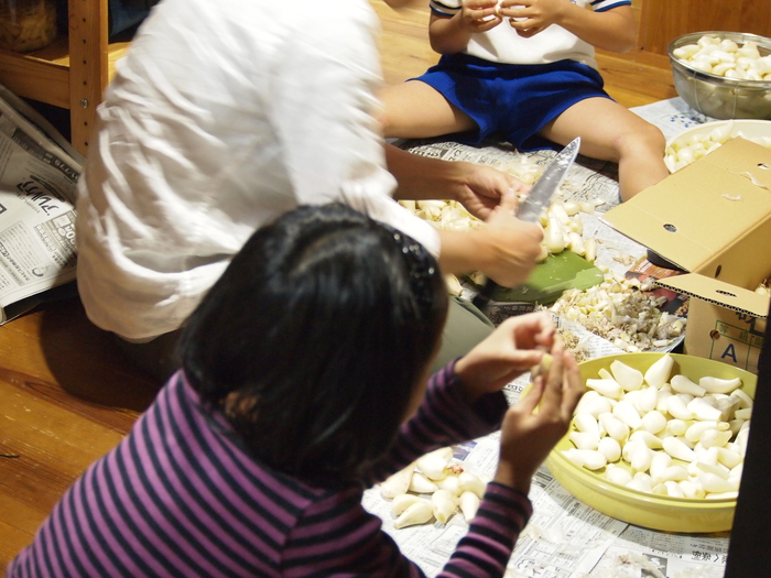 a0200608_4564137.jpg