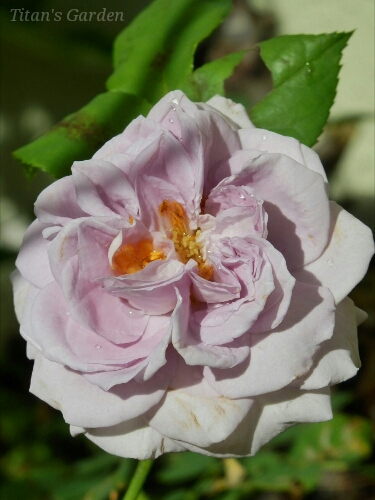 b0099813_0164340.jpg