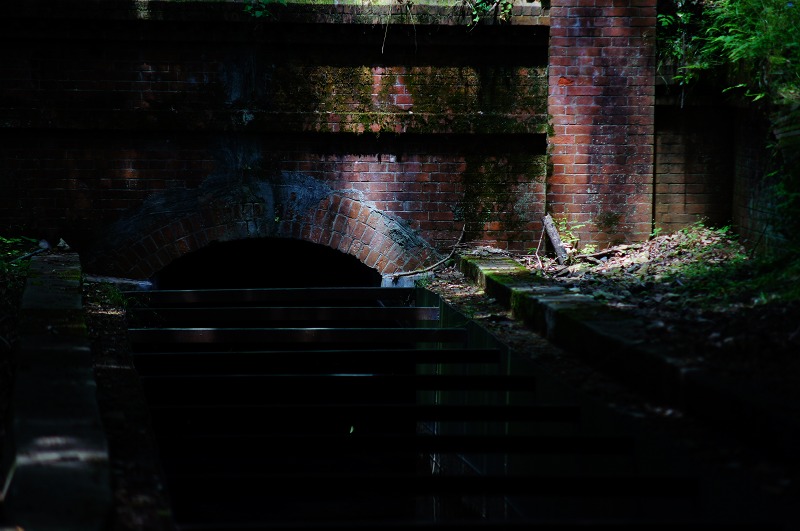 c0119618_814579.jpg