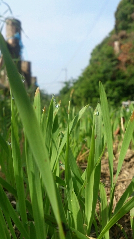 b0187620_20511828.jpg