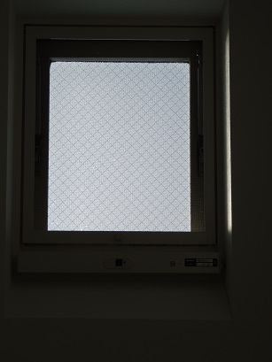 f0150620_1402858.jpg