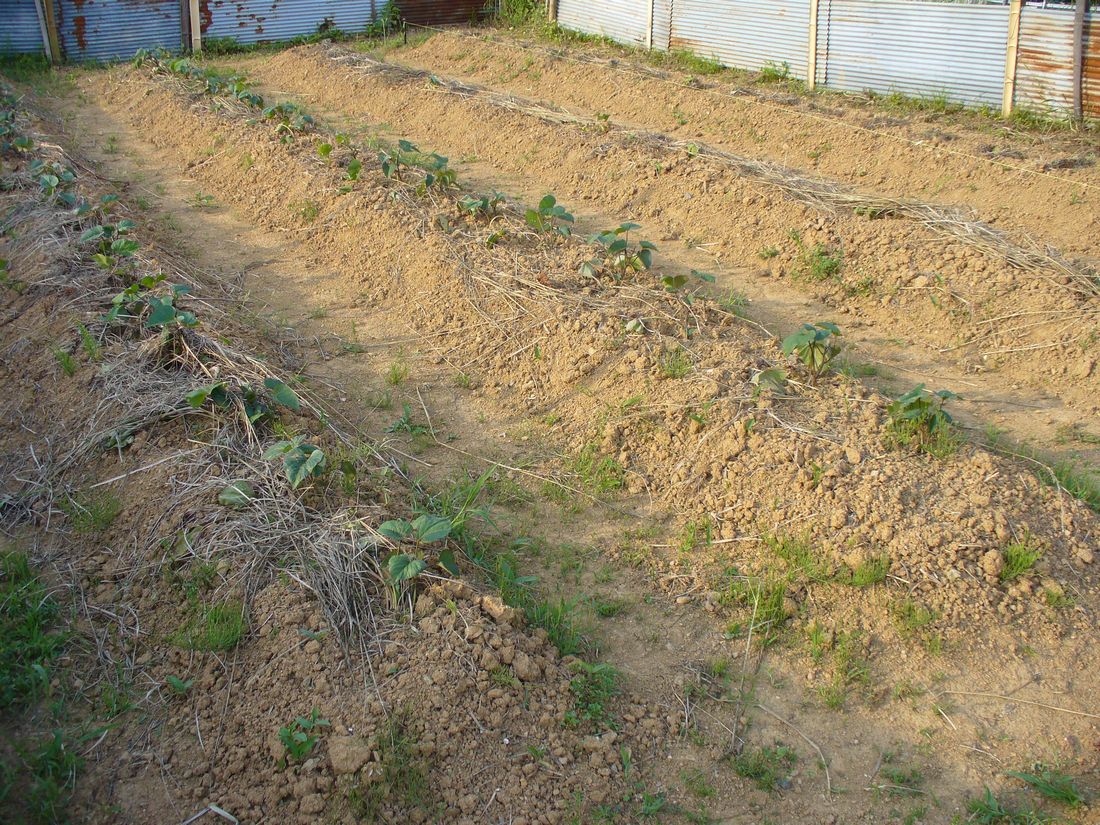 f0346527_22203515.jpg