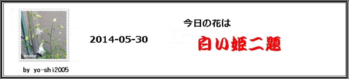 e0033229_2043650.jpg
