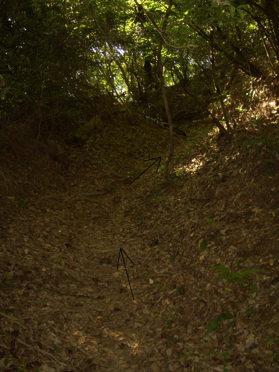 b0222530_16572191.jpg