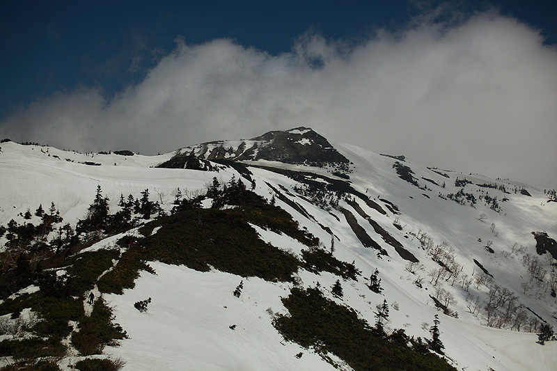 c0313231_1148872.jpg