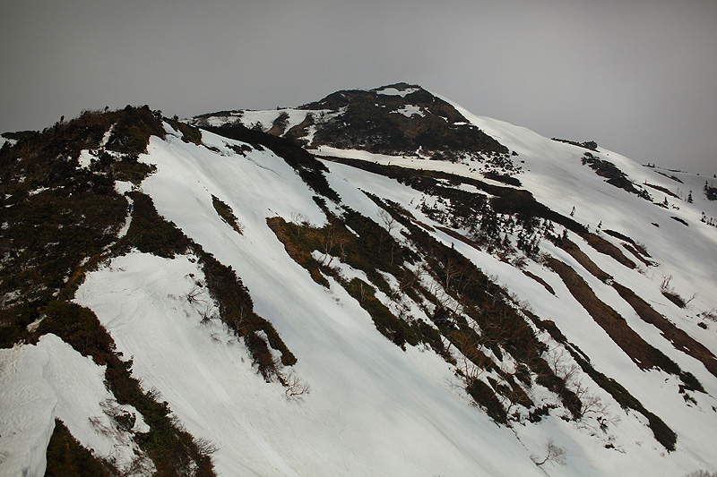 c0313231_11491726.jpg
