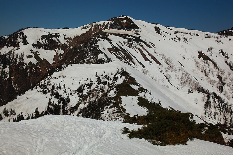 c0313231_12122314.jpg