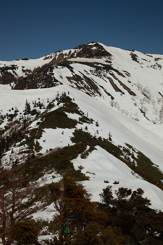 c0313231_1295559.jpg