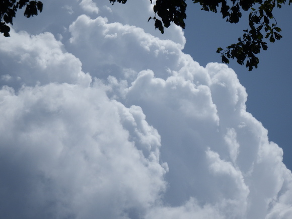 f0118332_23184690.jpg