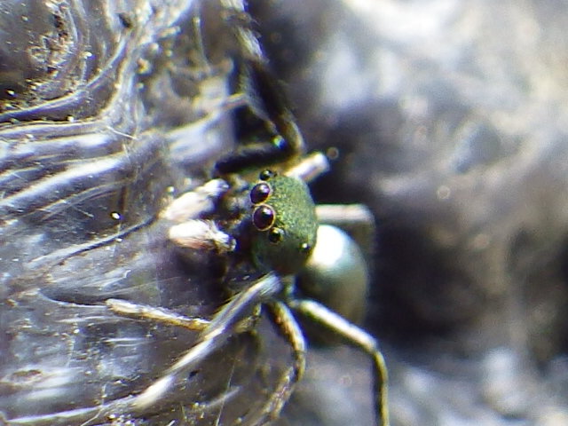 f0118332_23223390.jpg