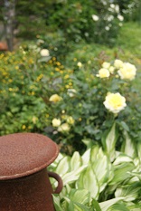 b0151533_0511399.jpg