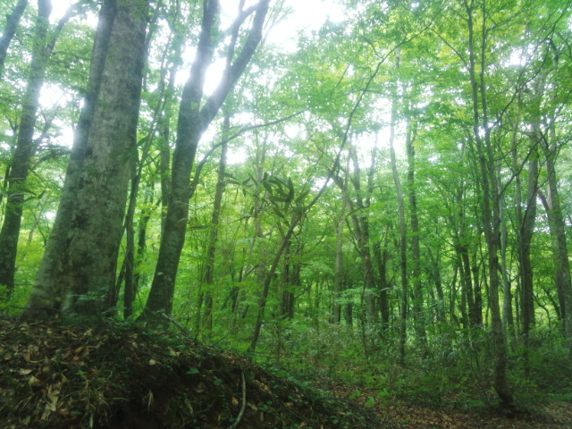 e0085133_14351829.jpg