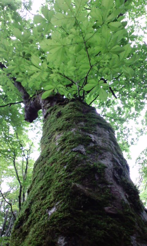 e0085133_14371884.jpg