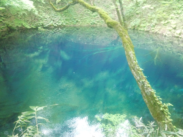 e0085133_14431664.jpg
