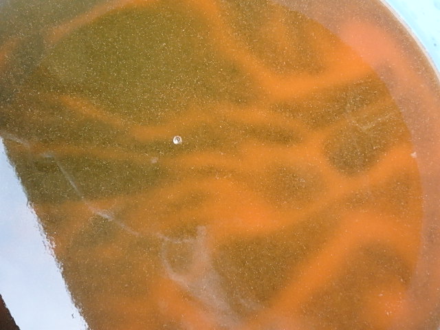 f0334143_9253116.jpg