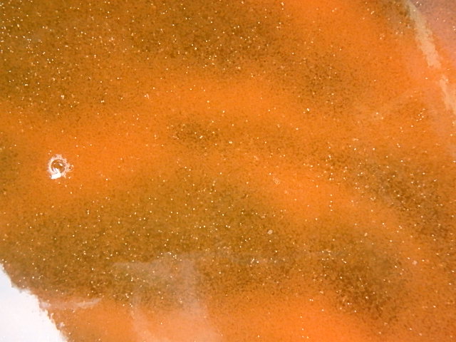 f0334143_9254385.jpg