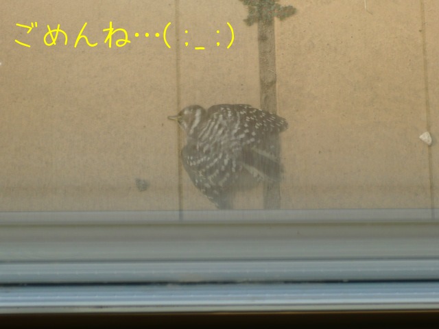 c0259945_16343390.jpg