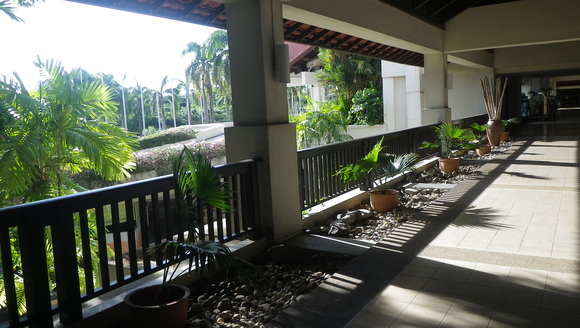 c0042847_1627568.jpg