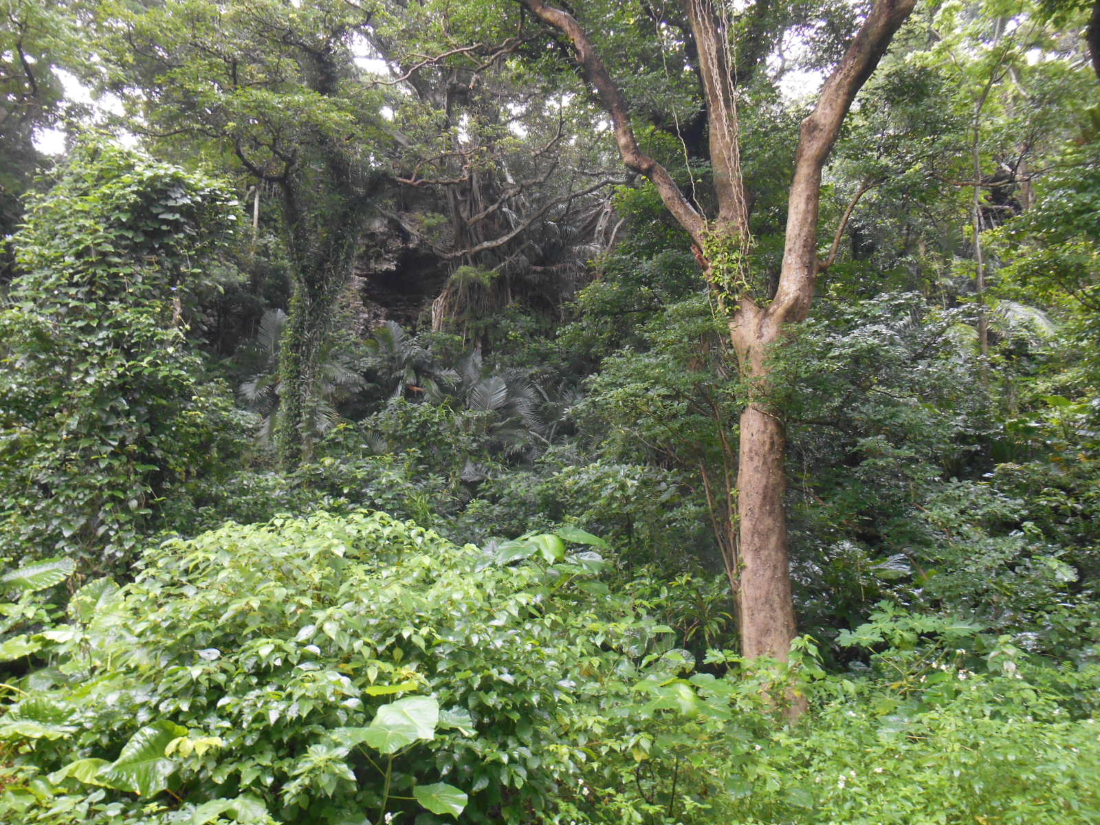 e0297347_20404338.jpg
