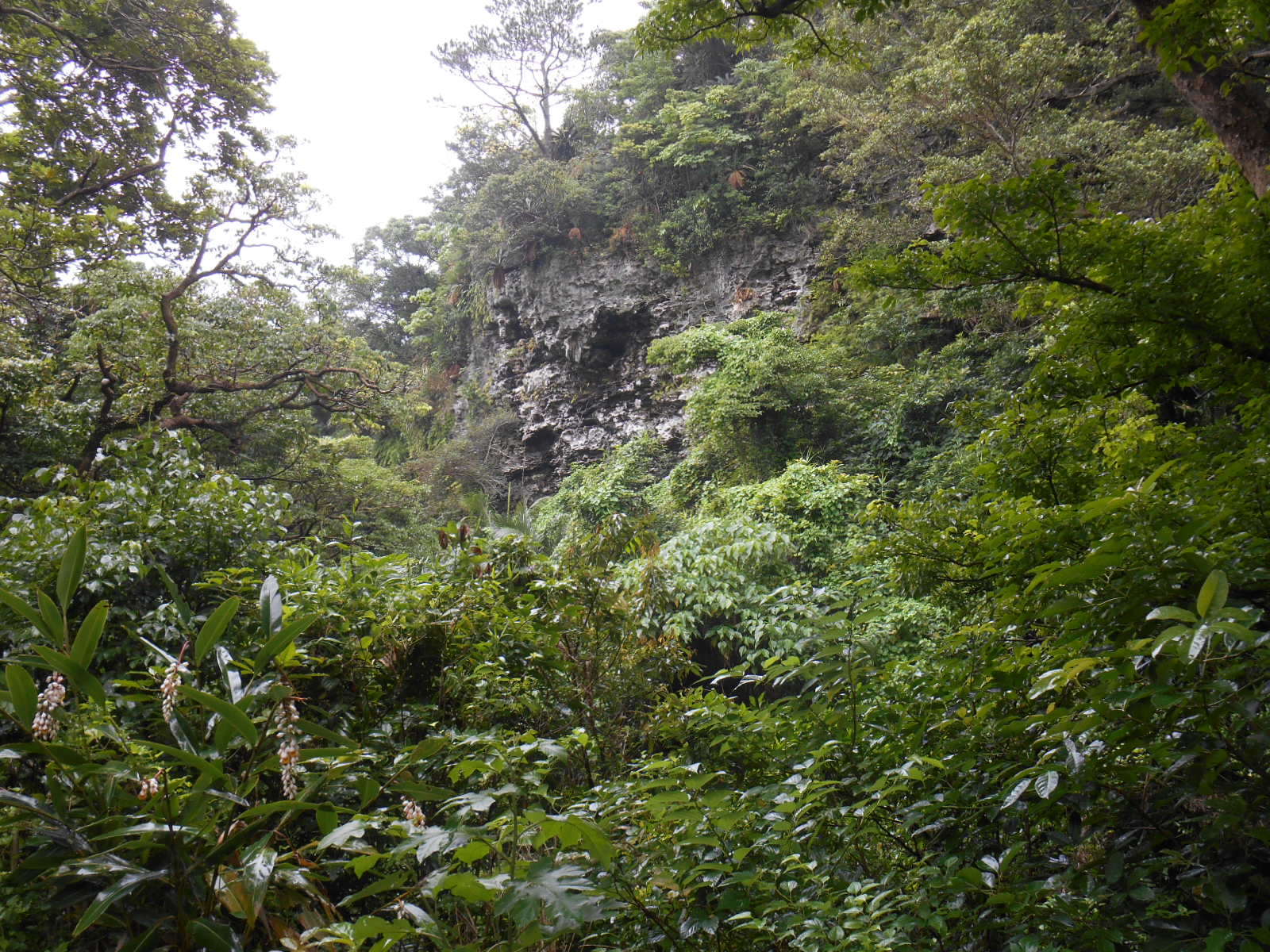 e0297347_20412041.jpg