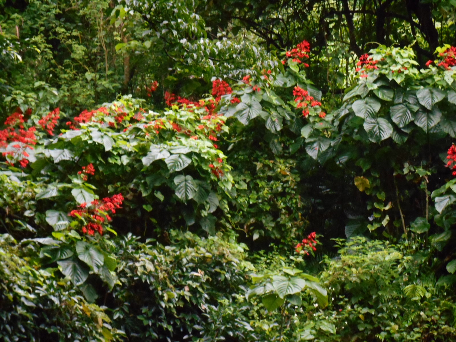 e0297347_20421140.jpg