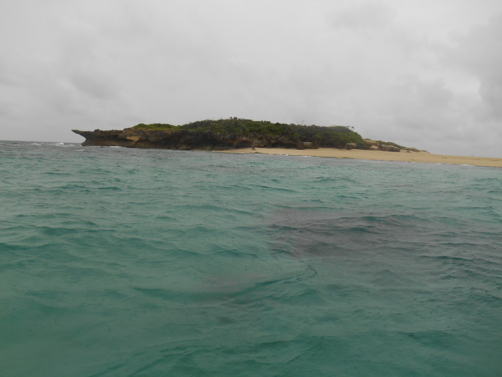 e0297347_2123837.jpg