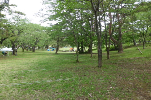 d0187248_19572750.jpg