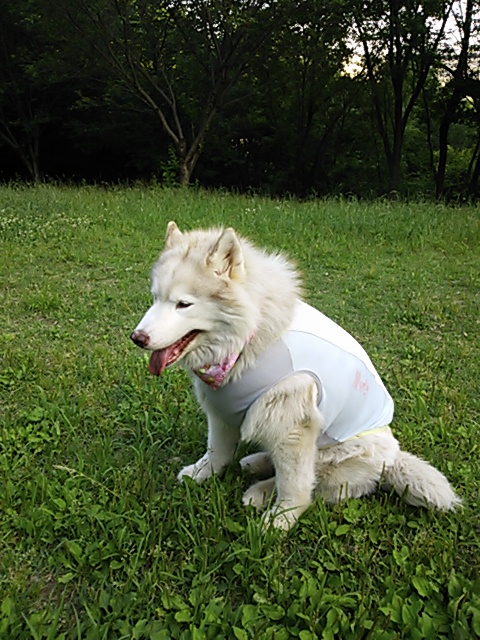 e0121548_2240493.jpg