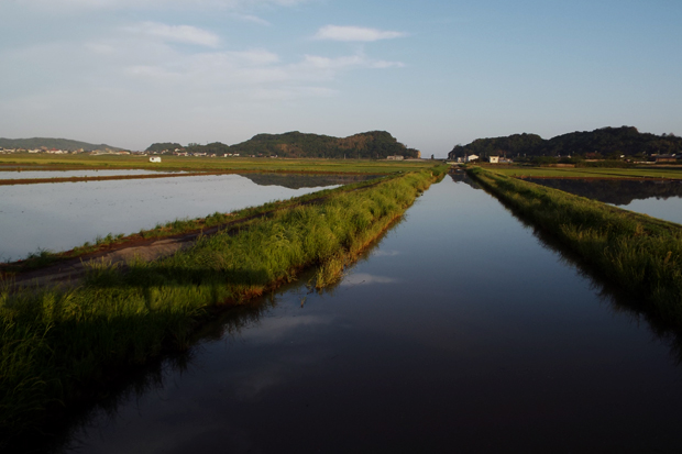 f0214649_594331.jpg