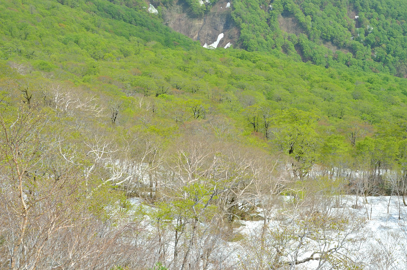 d0169556_21455989.jpg