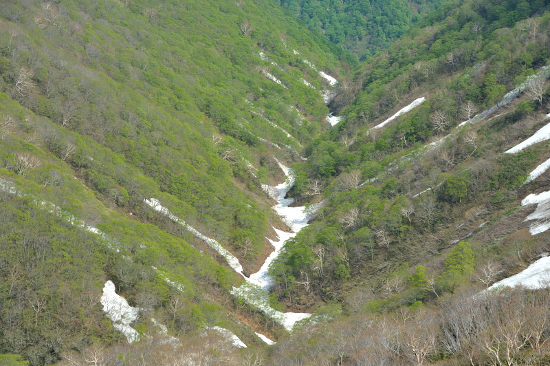 d0169556_21474081.jpg