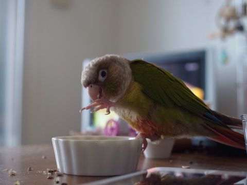 f0149057_9415834.jpg