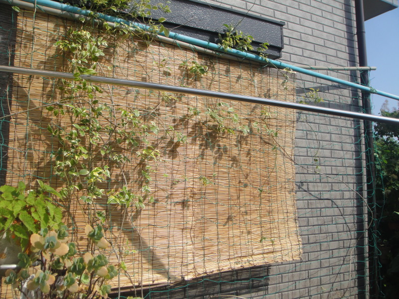 c0108460_01003301.jpg