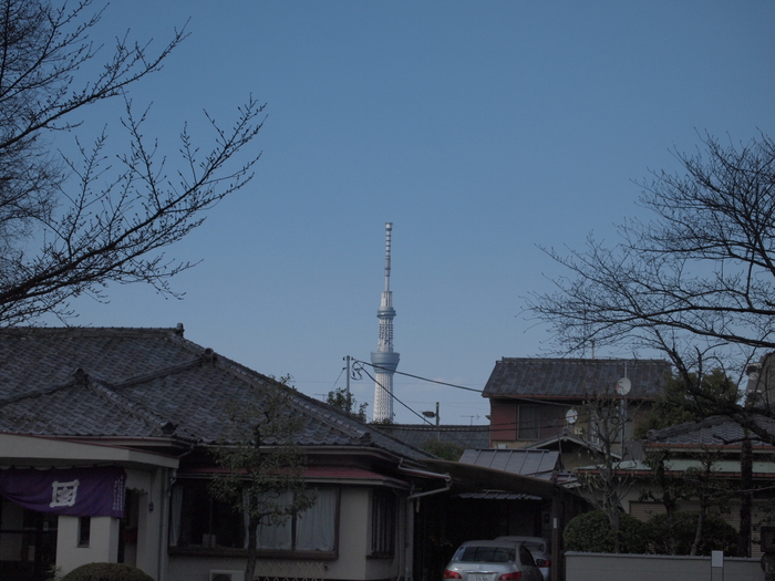 d0152261_18491730.jpg